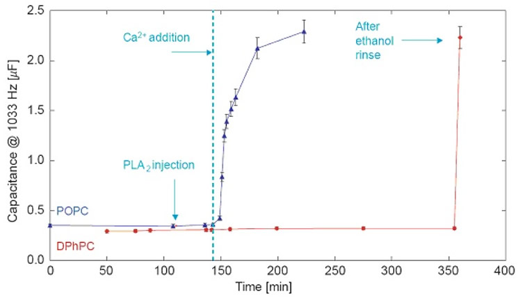 supported impedance eis