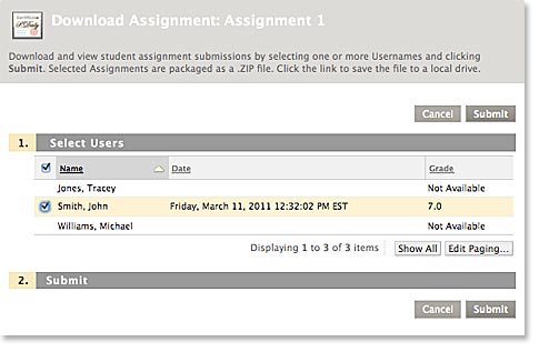 Assignment Download Selection Screenshot