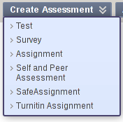 Create Assessment Screenshot