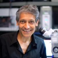 aniruddha-das.jpg