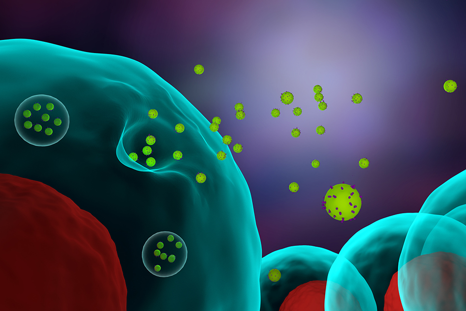 Collaborative CMU research unveils a new method for long-term spatial retention of extracellular vesicles, crucial for future tissue engineering and regenerative medicine.