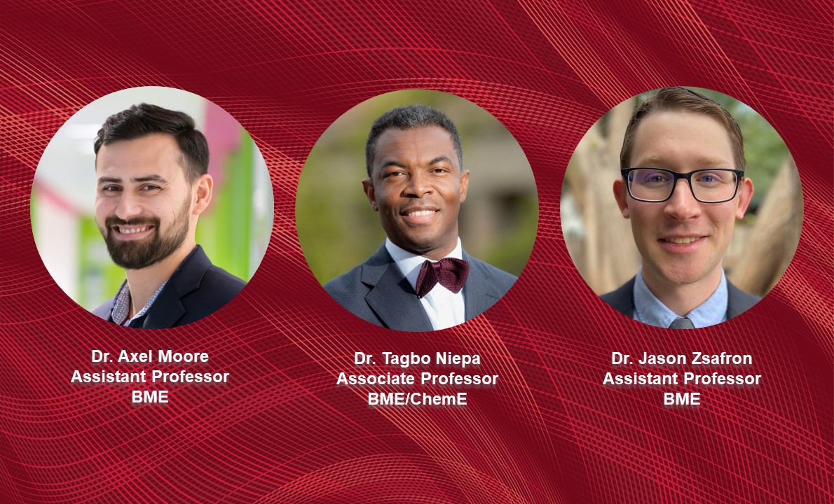 Welcoming Three New Faculty Members