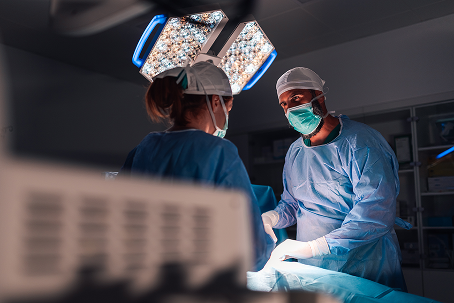 From donor to digital: making multi-structure transplants smarter and safer
