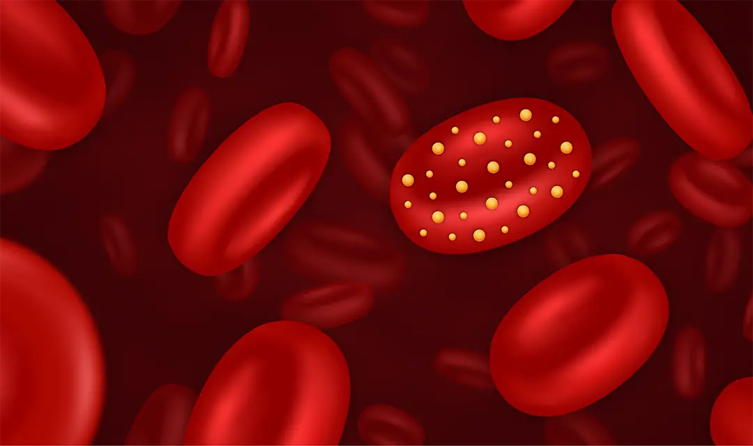 Modifying red blood cells for safe and effective drug delivery