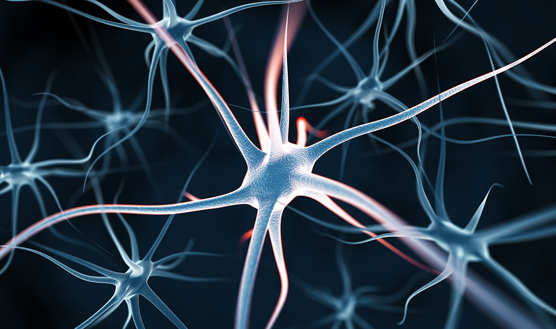 Automated tuning of large-scale neuronal models