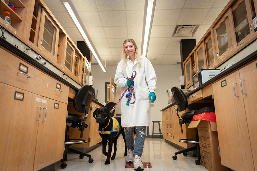 Unleashing advancements in animal care