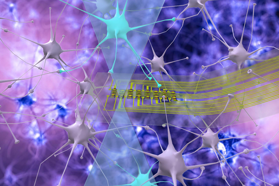 Illuminating neurons deep in the brain