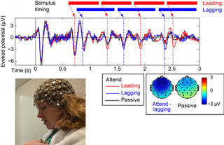 bshinn-cunningham research pic