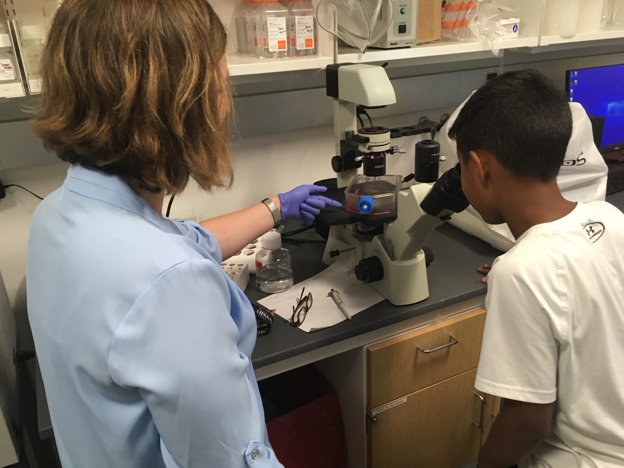 Student looking at cells under a microscope.