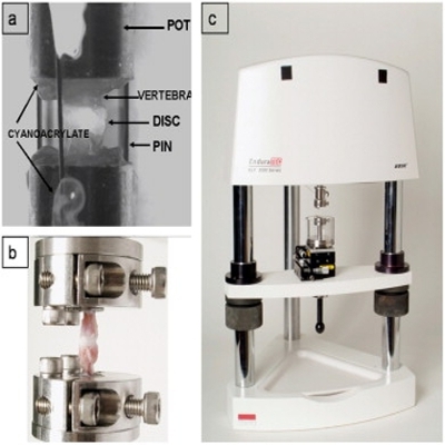 Mechanical testing apparatus