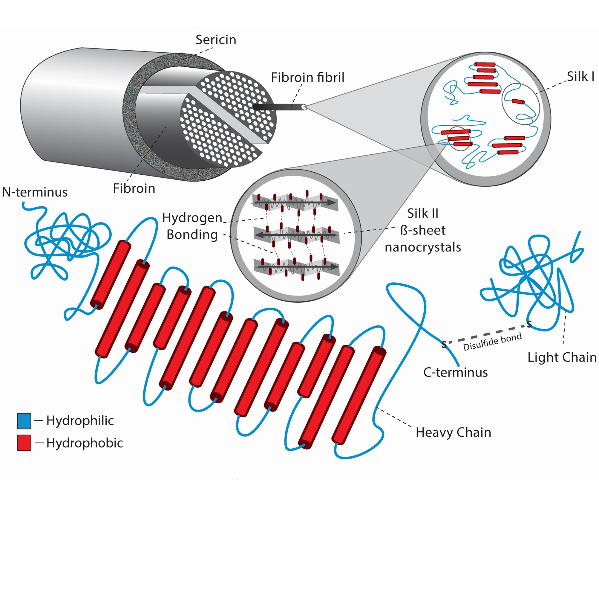 Silk structure