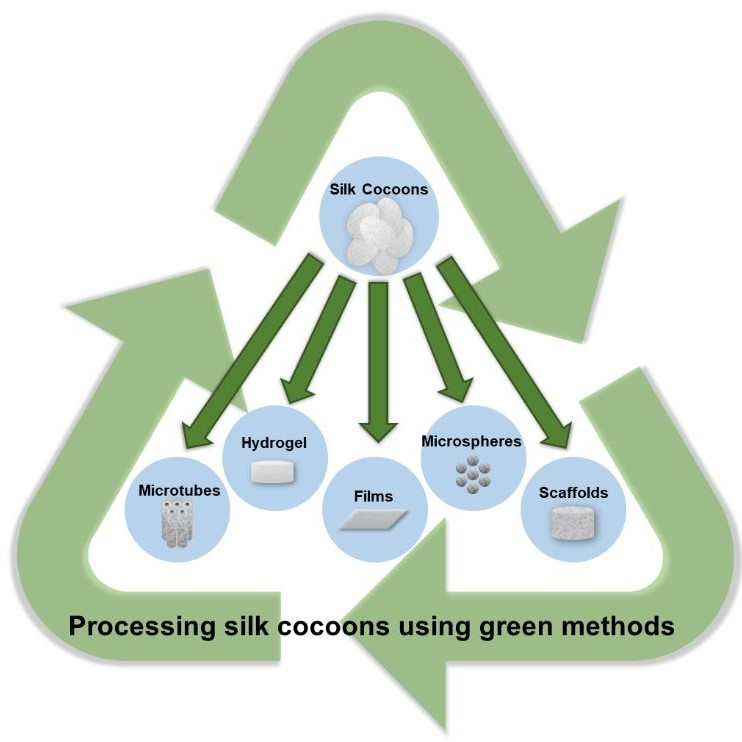 Green processing methods for silk