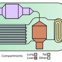 Lab on a chip