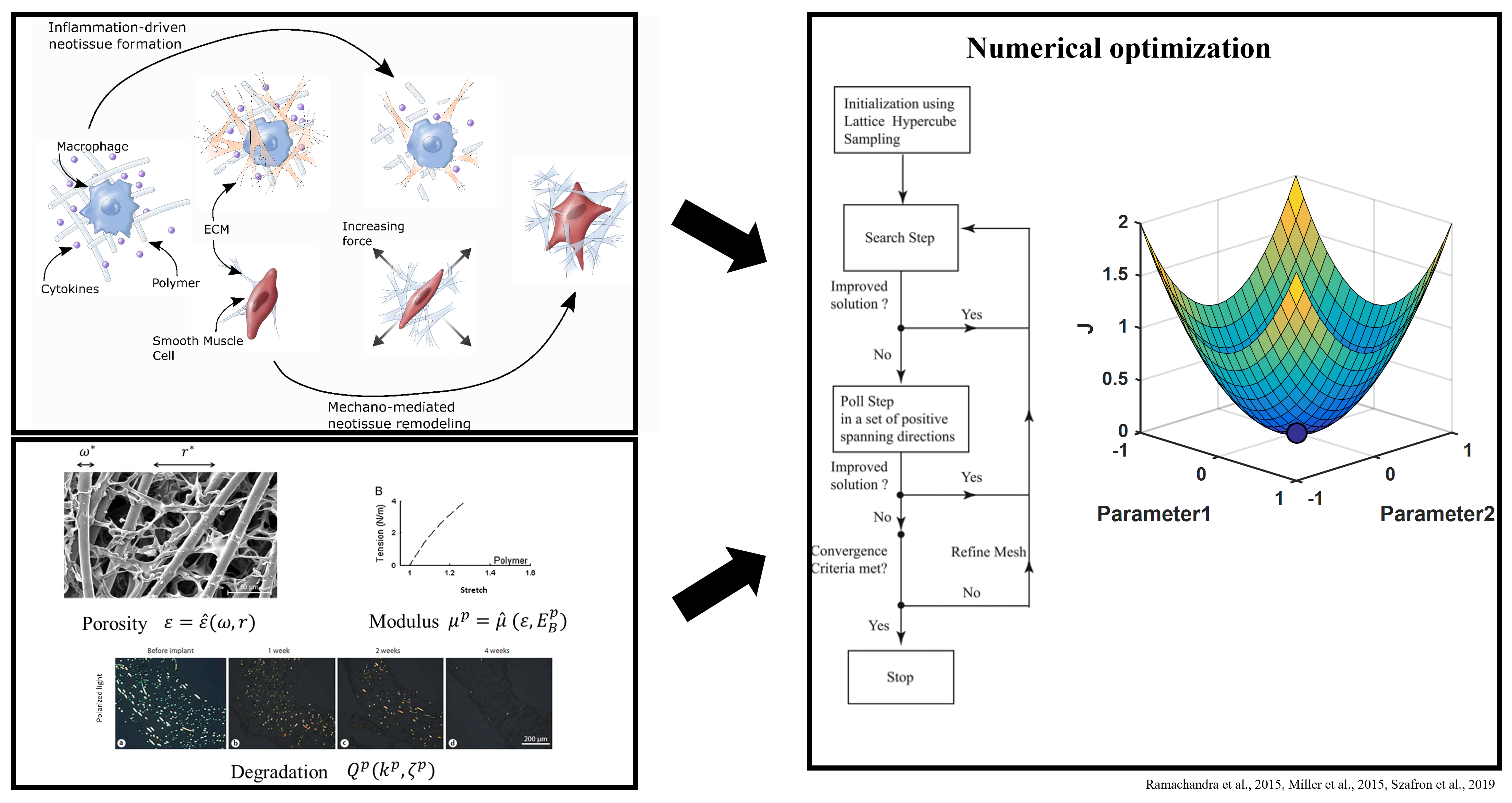 Graft Optimization