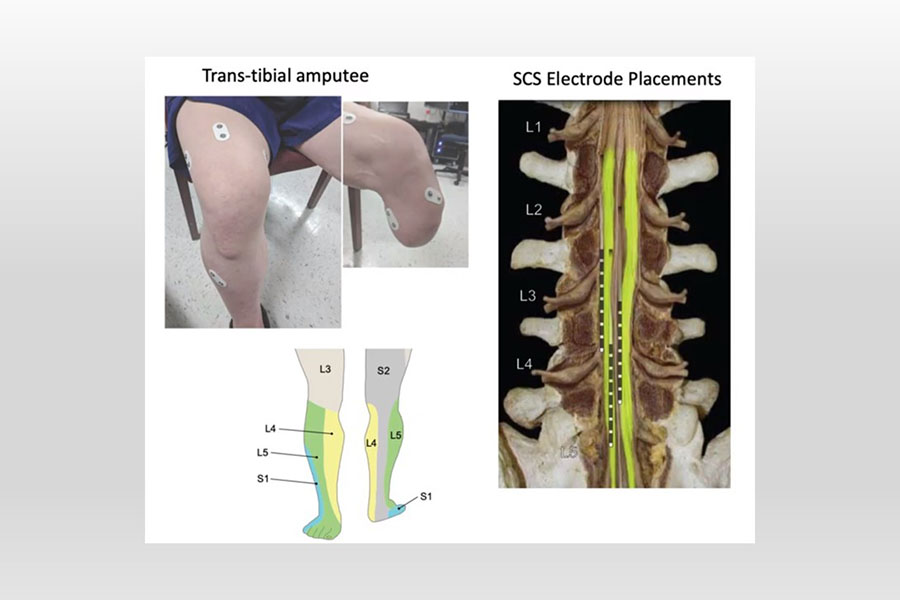 dwebber_research_image