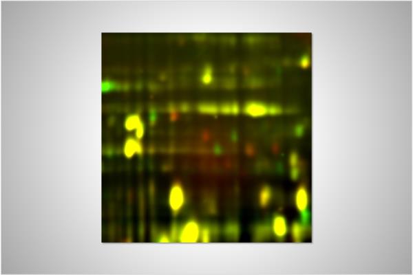 jminden_research_image