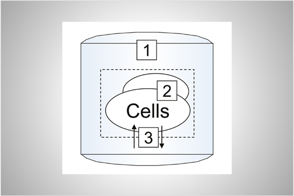 mdomach_research_image