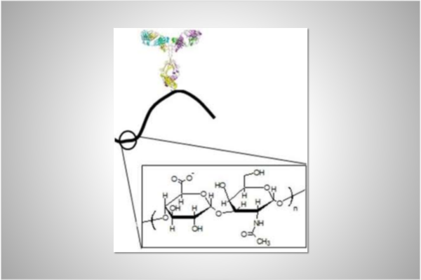 nwashburn_research_image