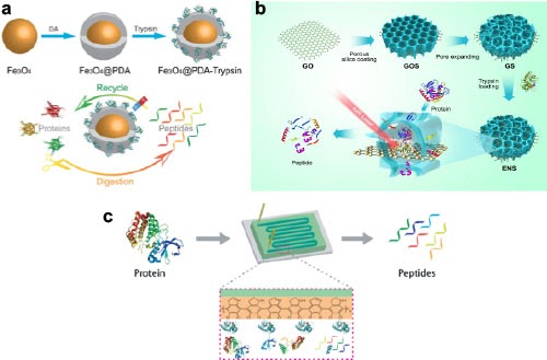 Nanomaterials for ultrafast protein digestion