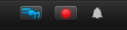 camtasia record button