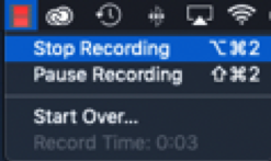 camtasia stop recording button