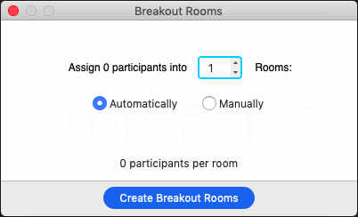 Zoom User Interface