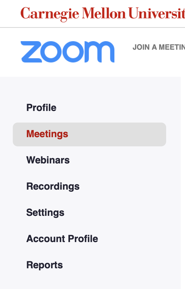 Screenshot of Zoom User Interface