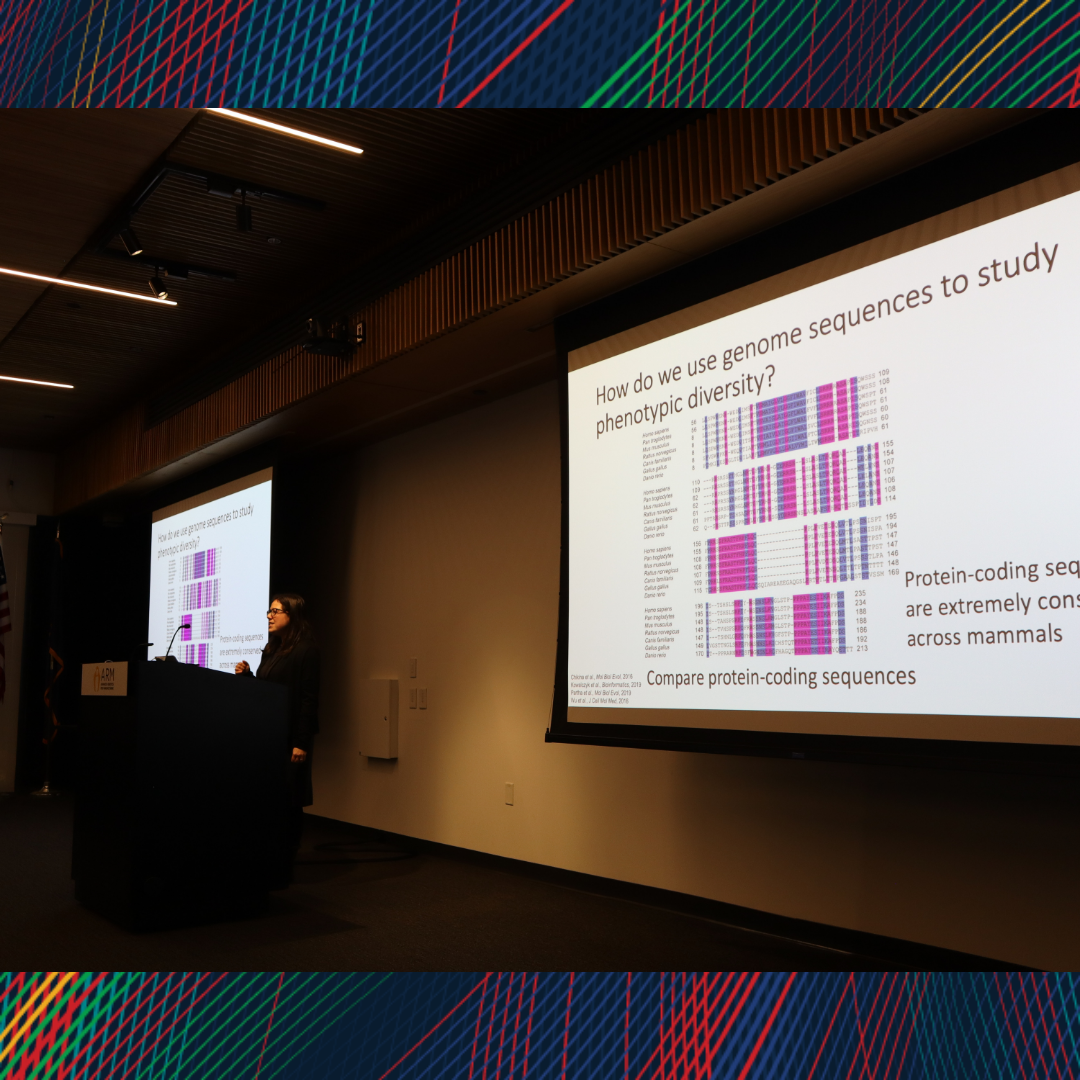 A professor presenting with powerpoint slides