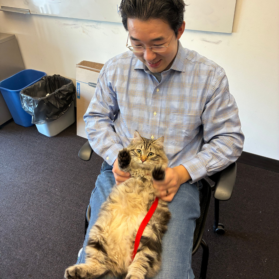 A man with a cat laying on his lap