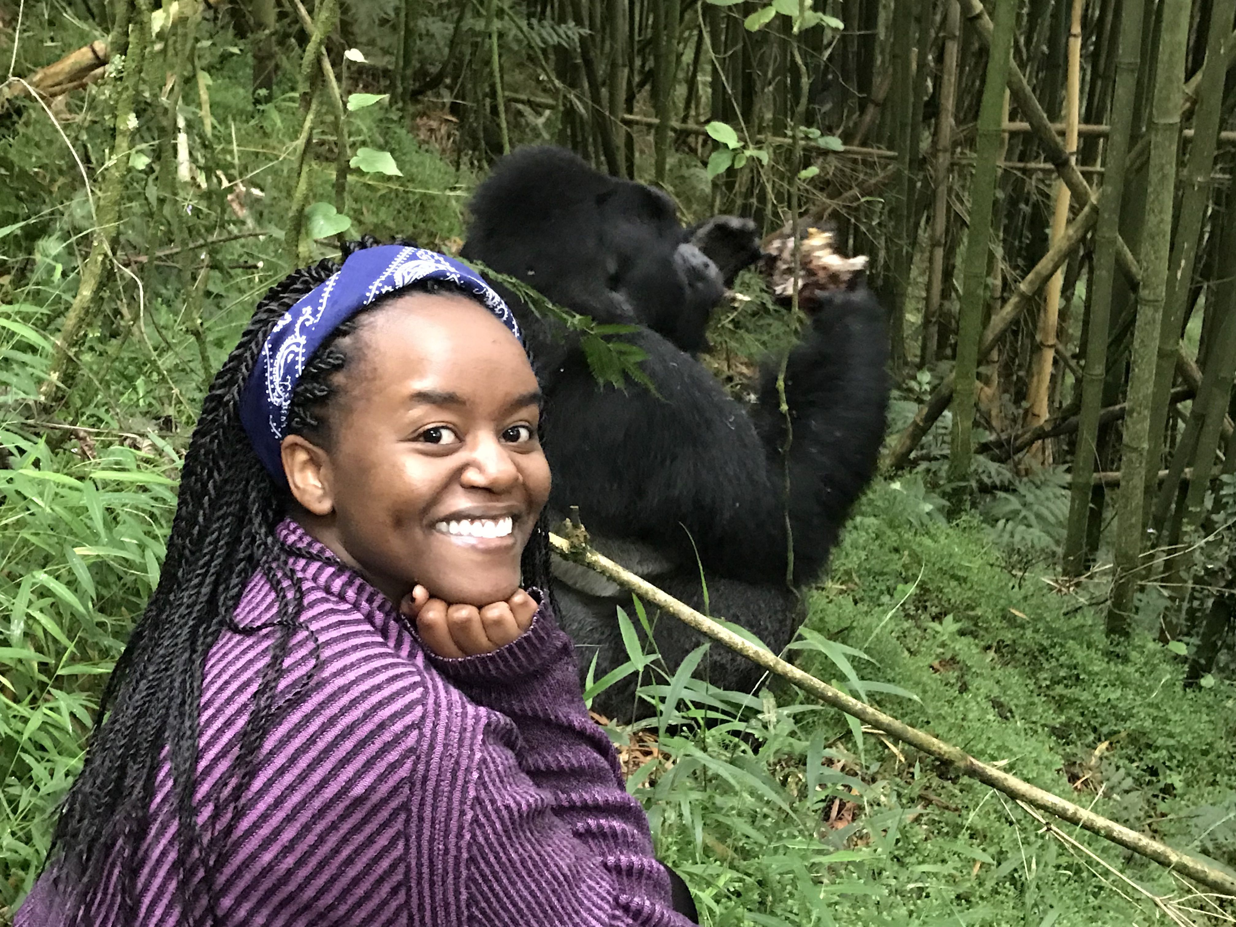 Mwende Mwololo with a silverback Gorilla in the background