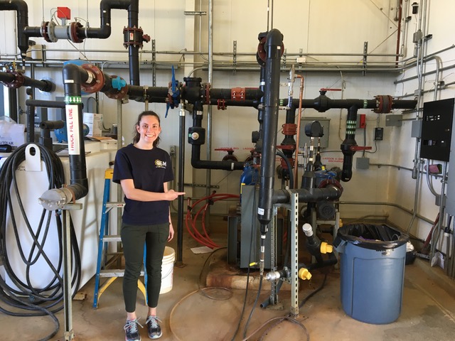 Tessa Weeden (CEE ’20) is spending her summer far from Pittsburgh—as an intern at the Alaska Center for Energy and Power (ACEP). 