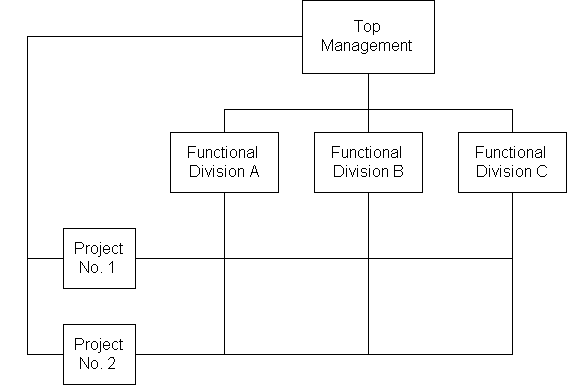 The Body Shop Organizational Chart