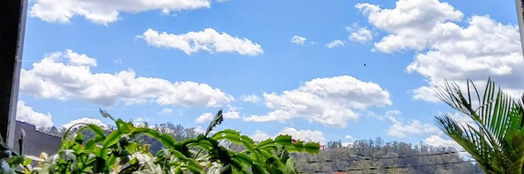 View looking out of Mincemoyer's window at a bright blue sky with fluffy white clouds.