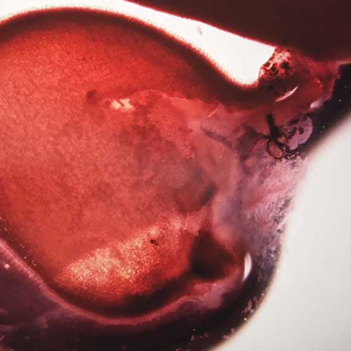 Making Art Through Science