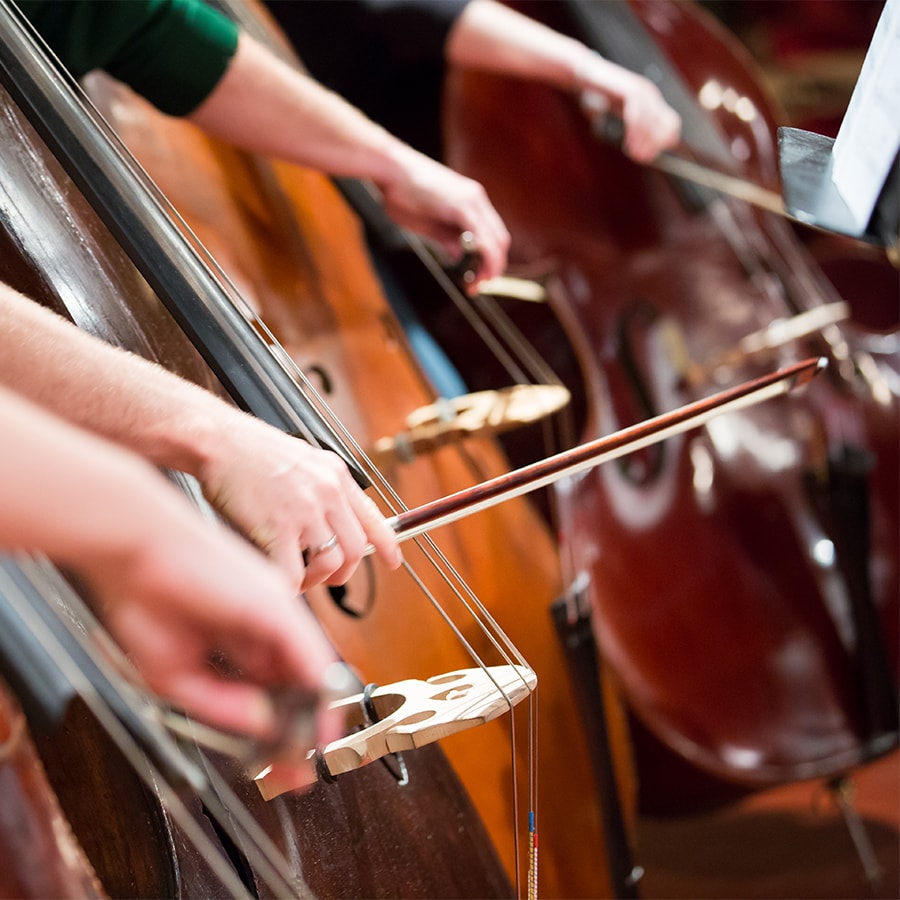 students playing the violin in concert