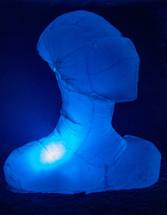 Photo of an inflatable sculpture illuminated by blue light.