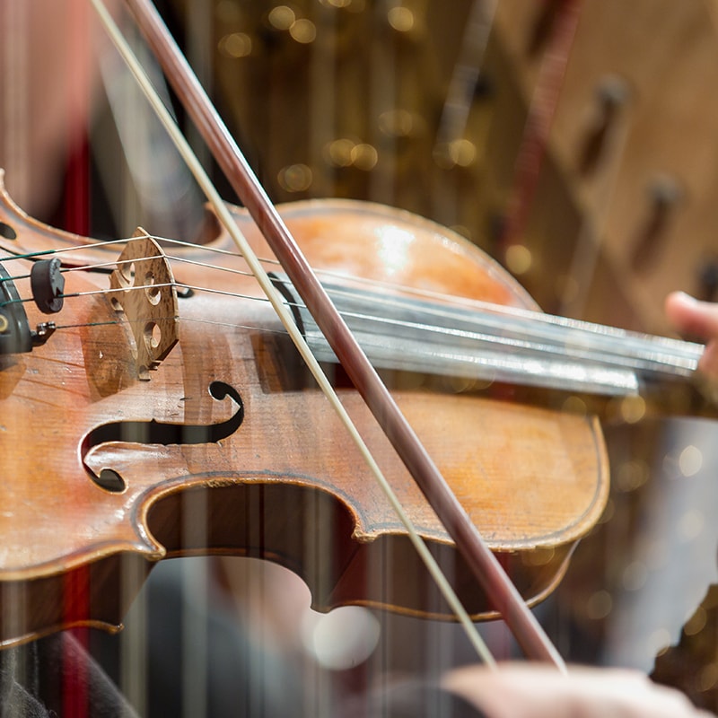 close up of violinist