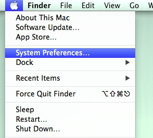 Select System Preferences