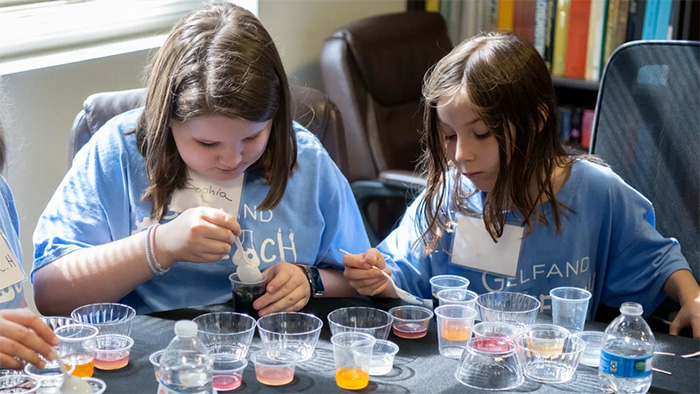 Summer Chemistry class