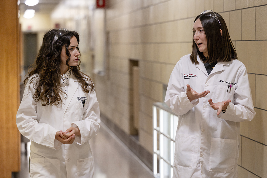 Lab mentorship