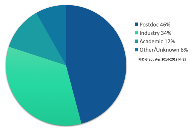 chart depicting graduate student placement 2012-2017