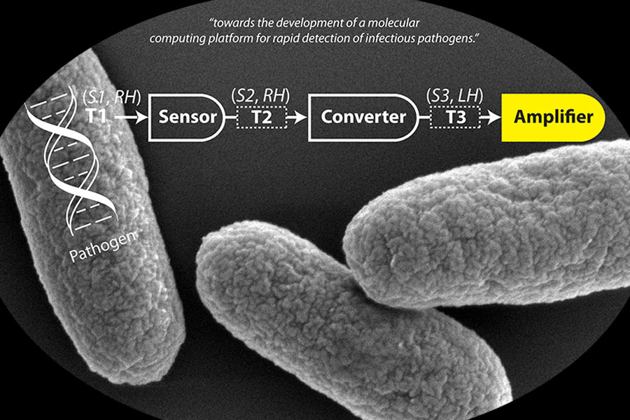 towards the development of a molecular computing platform for rapid detection of infectious pathogens