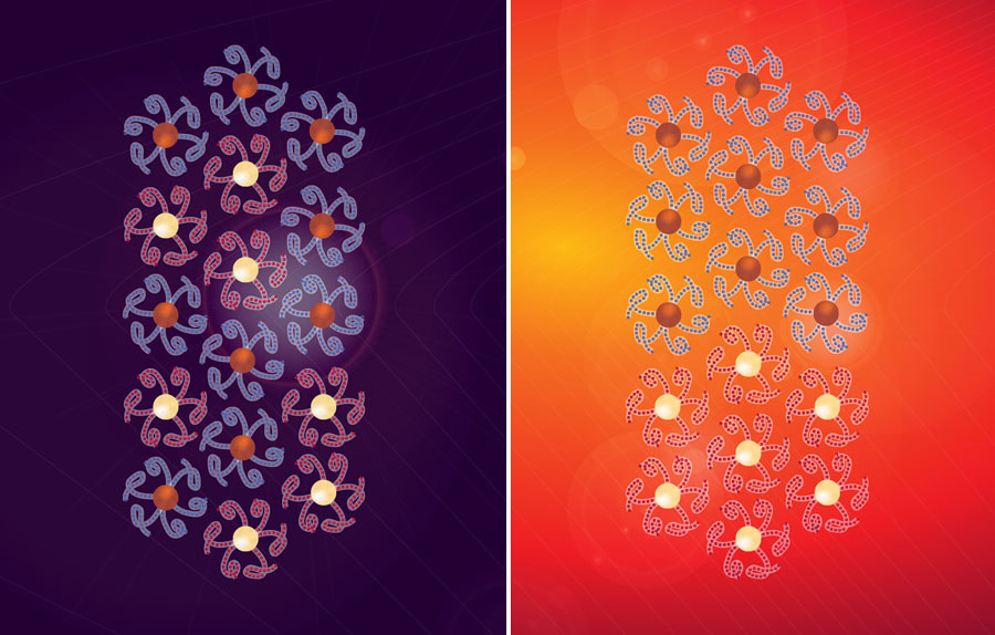 arrangement of nanoparticles