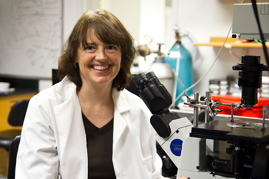 Linda Peteanu by microscope in laboratory