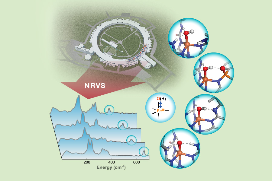 Illustration of spectra and relevant molecules