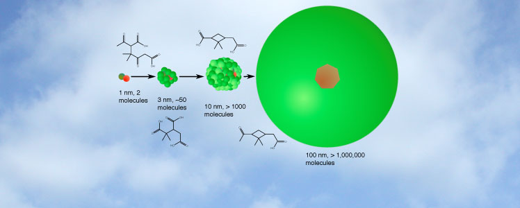 Oxidized organic molecules (green) and sulfuric acid (red) cluster together, eventually forming a particle (right) that is capable of nucleating cloud droplets.
