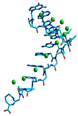 Gamma-PNA molecule