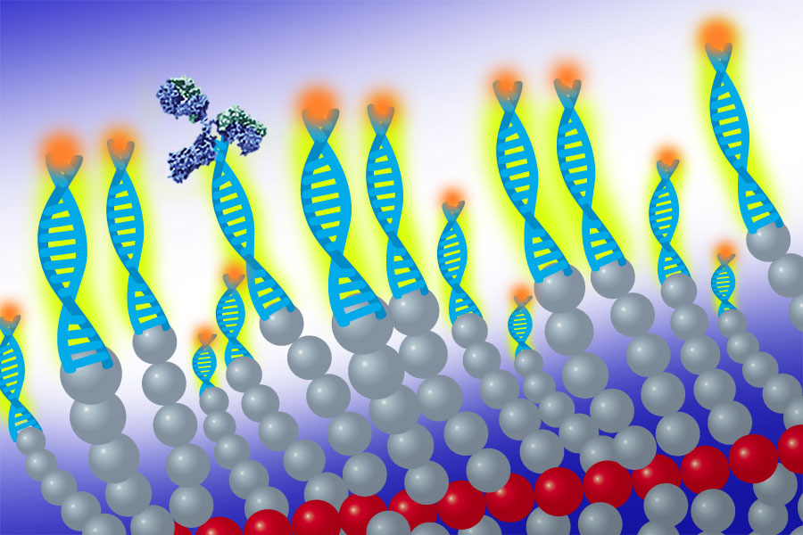 illustration of bottlebrush polymer with DNA snippets attached to ends