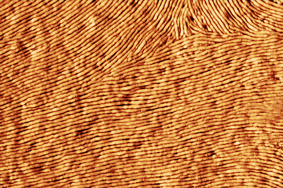 AFM image