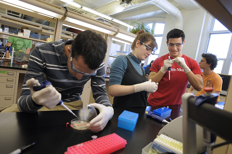 Four students at lab bench with pipettes